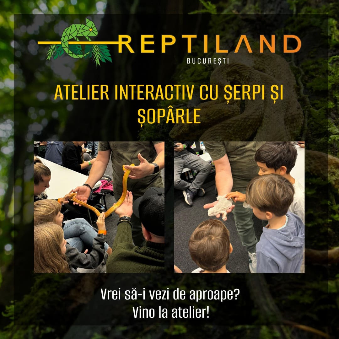 🐍🌿 Atelier Interactiv cu Șerpi și Șopârle – o aventură de neuitat pentru toate vârstele!